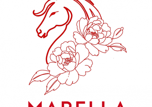 MARELLA 2026新春系列  舞马新春，驭火承光